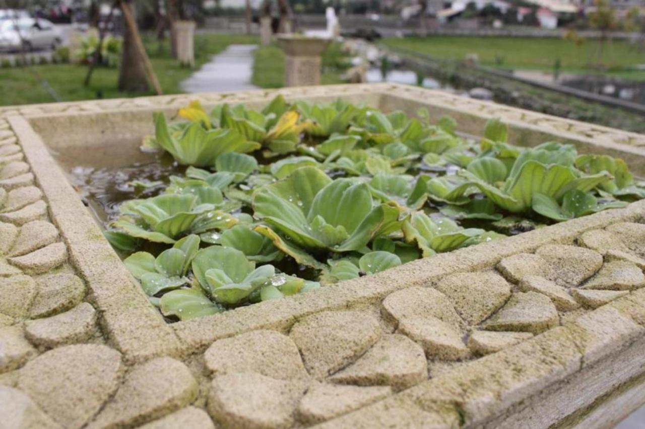 Aqua Star Villa Homestay Dongshan  Exteriör bild